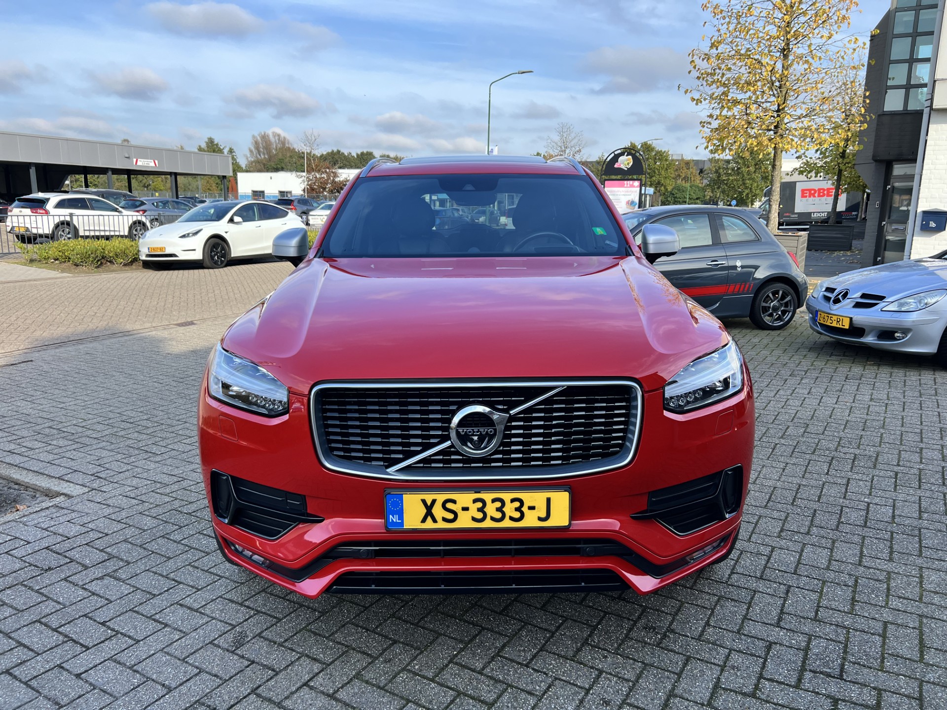 40819329-23.jpg