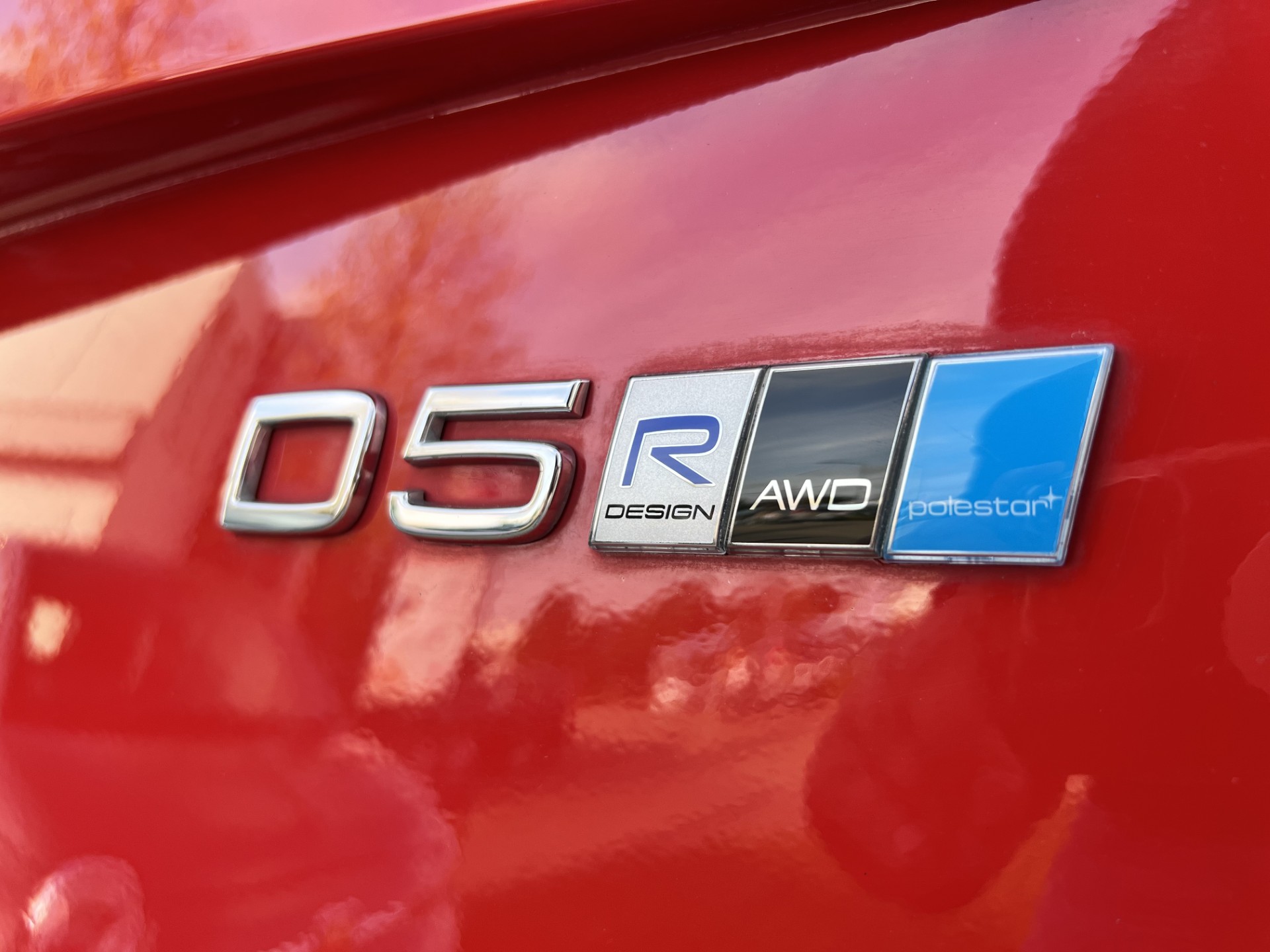 40819329-28.jpg