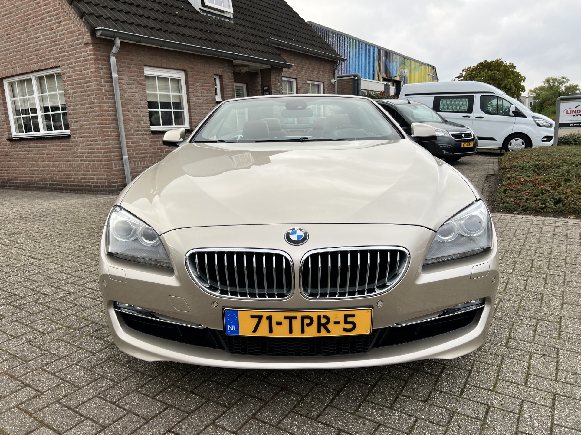 41315176-17.jpg