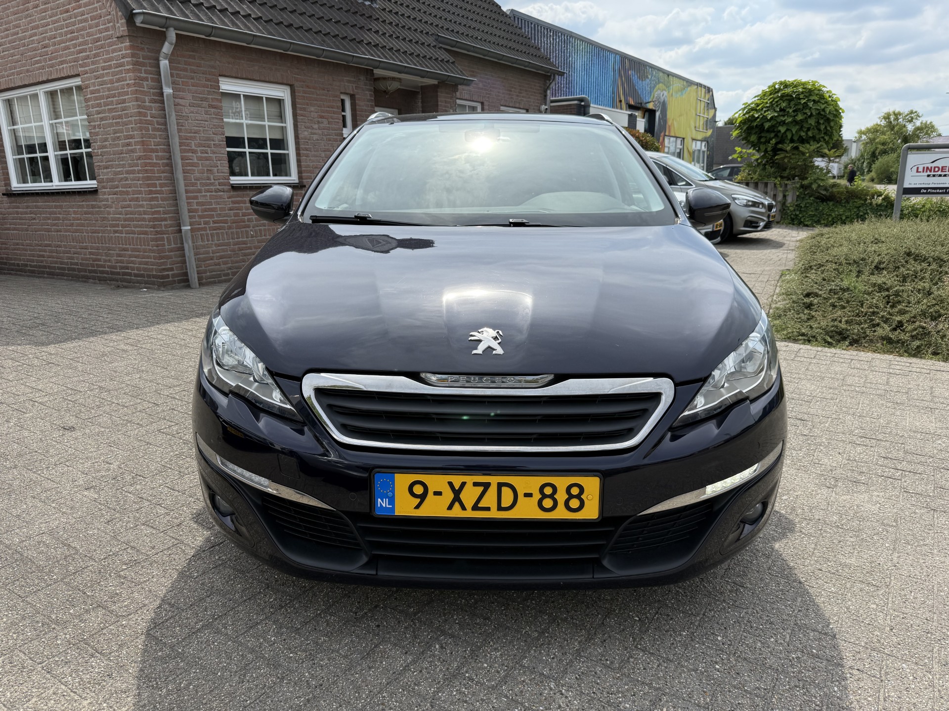 46180865-9.jpg