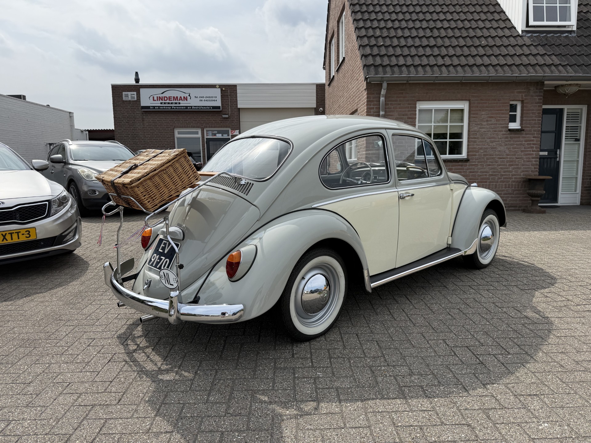 54424193-1.jpg